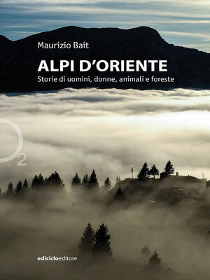 cover image of Alpi d'Oriente